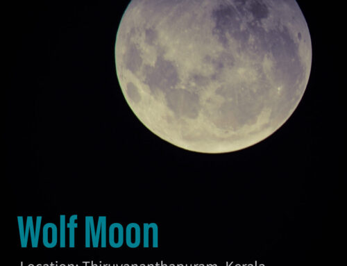 First Wolf Moon of this decade